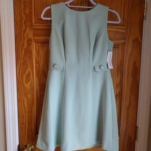 Mint Green Eva Mendes Dress